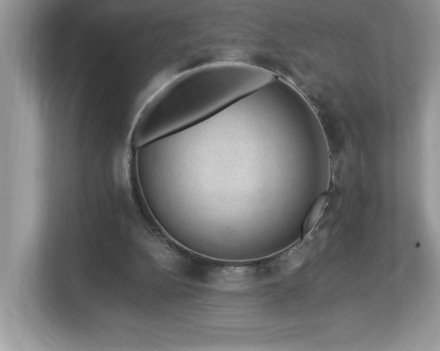 X0000112860152200908211328