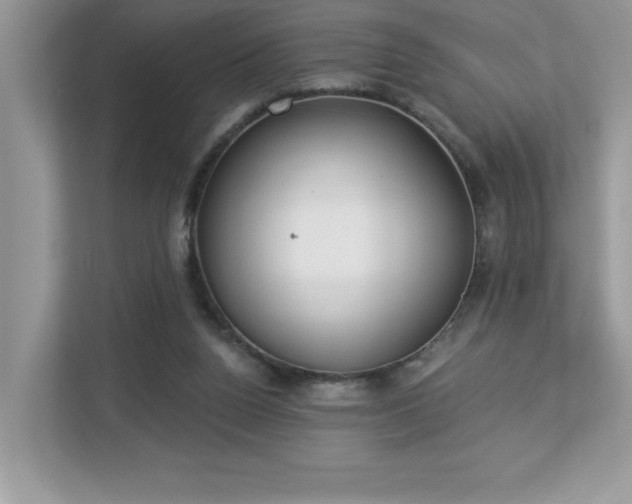 X0000112860160200908211328