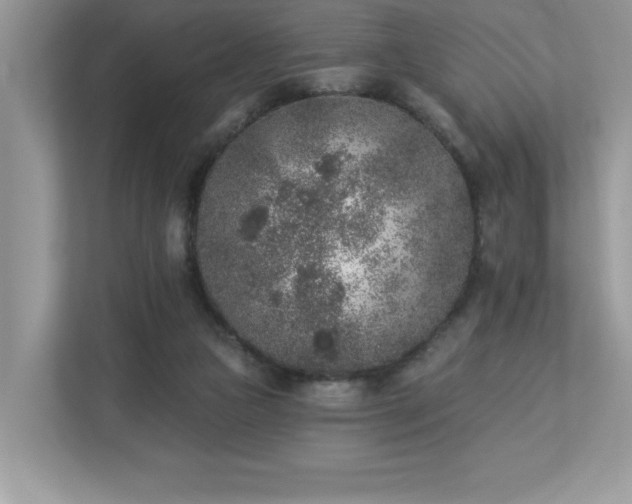 X0000112860161200908211328