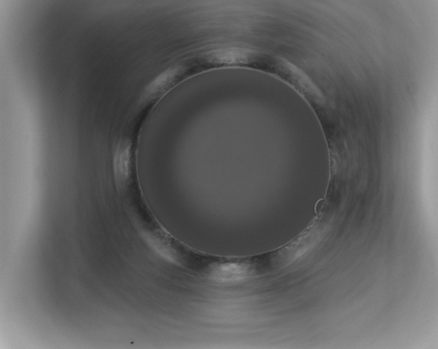 X0000112860163200908211328