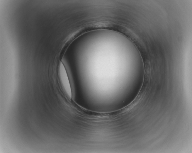 X0000112860164200908211328
