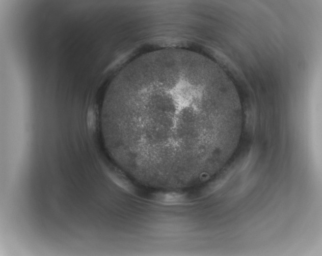 X0000112860165200908211328