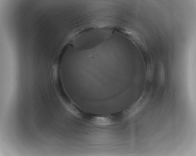 X0000112860167200908211328