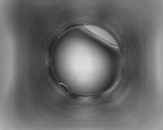 X0000112860170200908211328