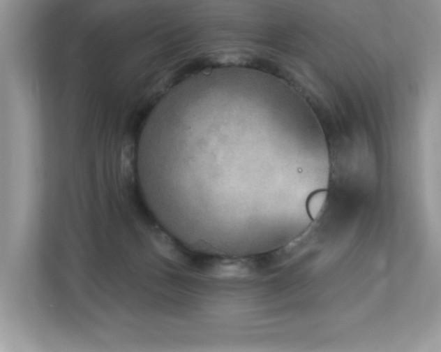 X0000112860175200908211328