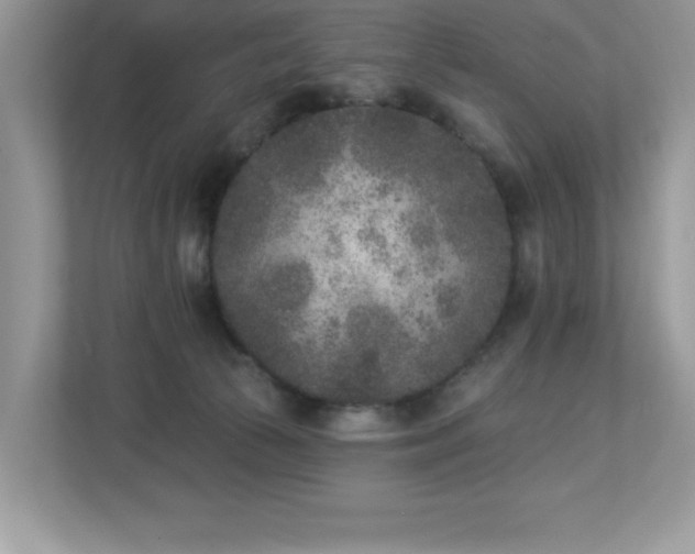 X0000112860177200908211328