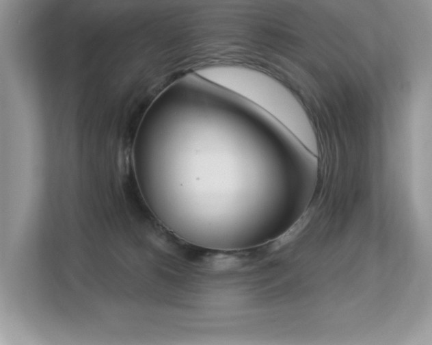X0000112860180200908211328