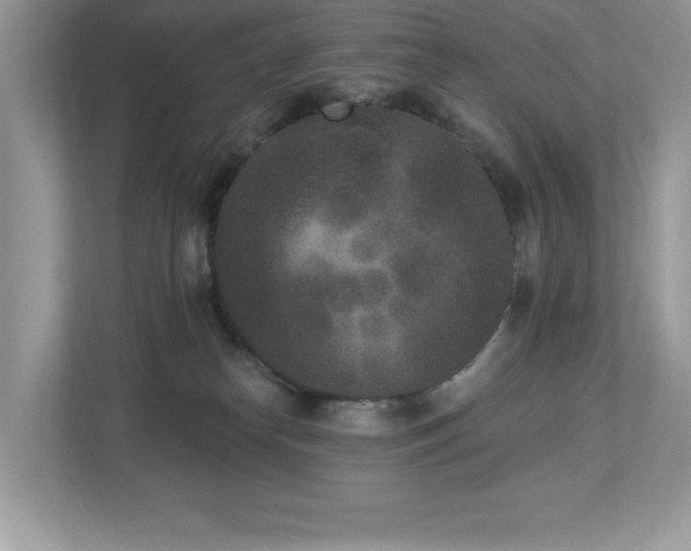 X0000112860182200908211328