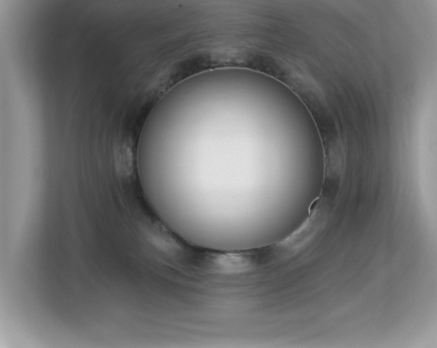 X0000112860183200908211328
