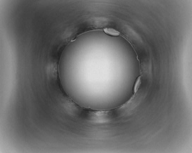 X0000112860184200908211328