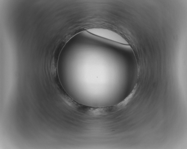 X0000112860186200908211328