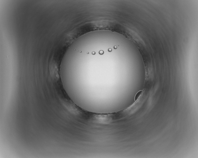 X0000112860187200908211328