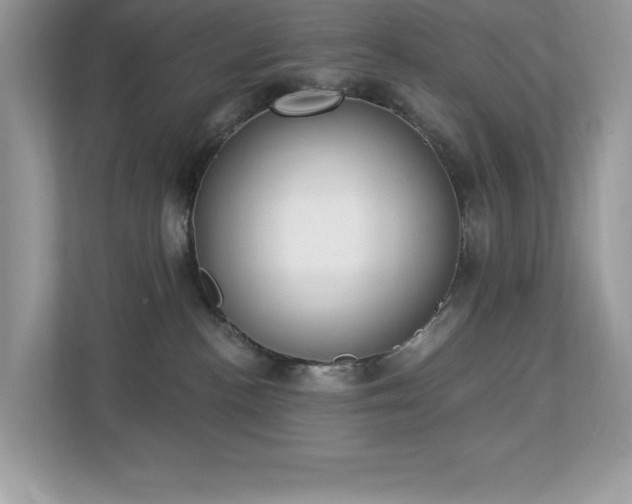 X0000112860188200908211328