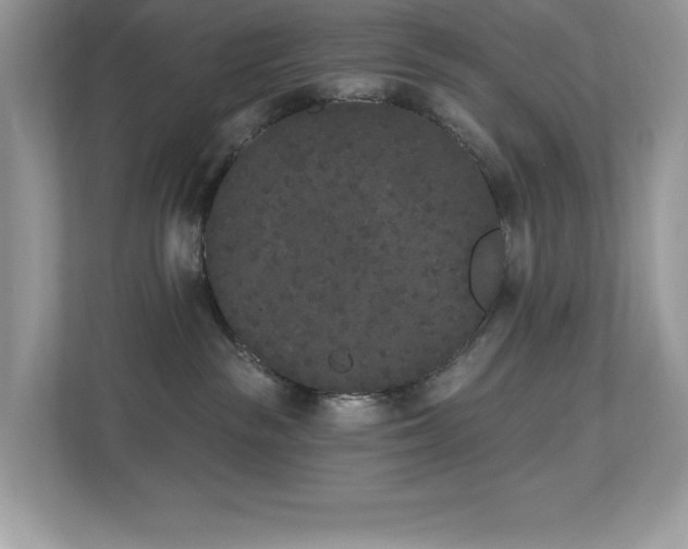 X0000112860189200908211328