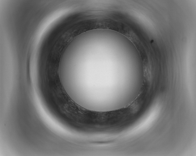 X0000112860191200908211328