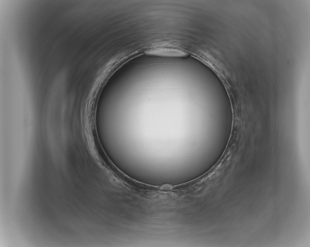 X0000112860193200908211328