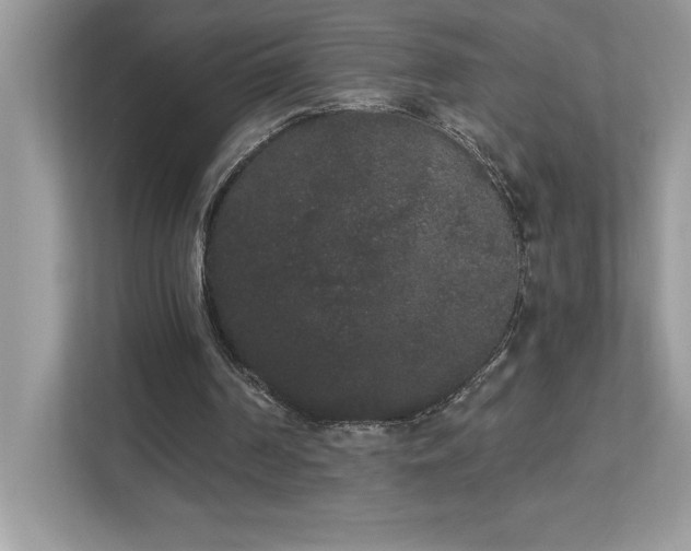 X0000112860194200908211328