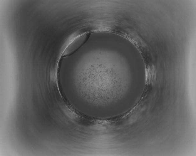 X0000112860195200908211328
