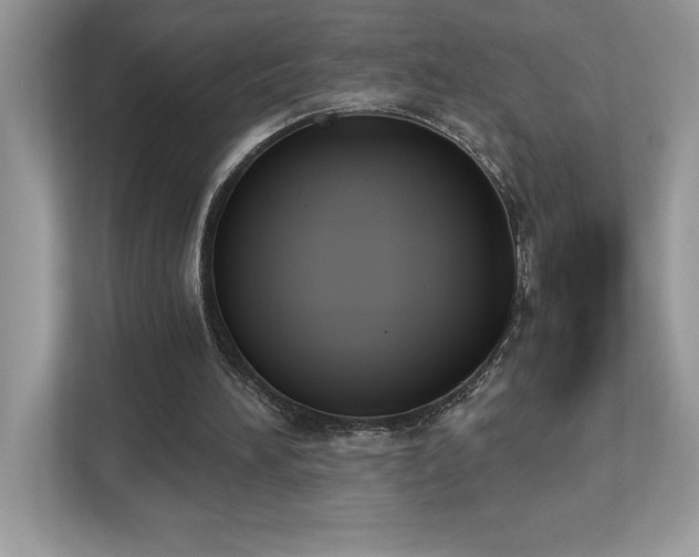 X0000112860196200908211328
