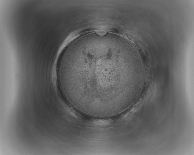 X0000112860198200908211328