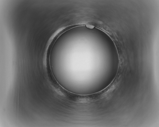 X0000112860200200908211327