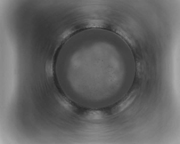 X0000112860203200908211327