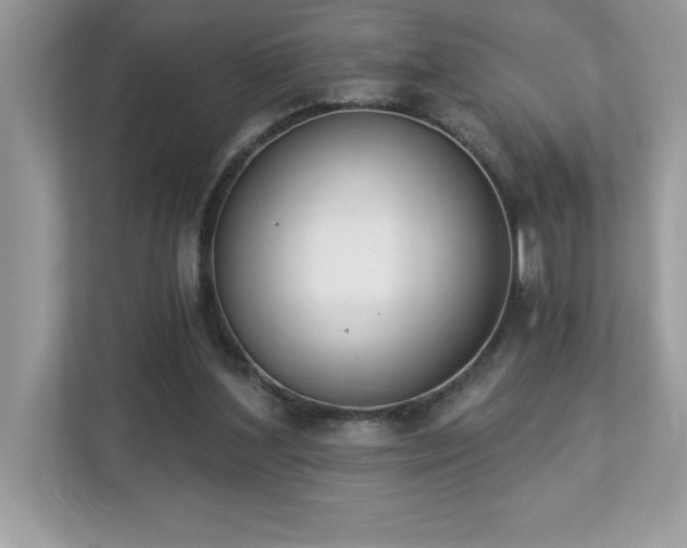 X0000112860204200908211327