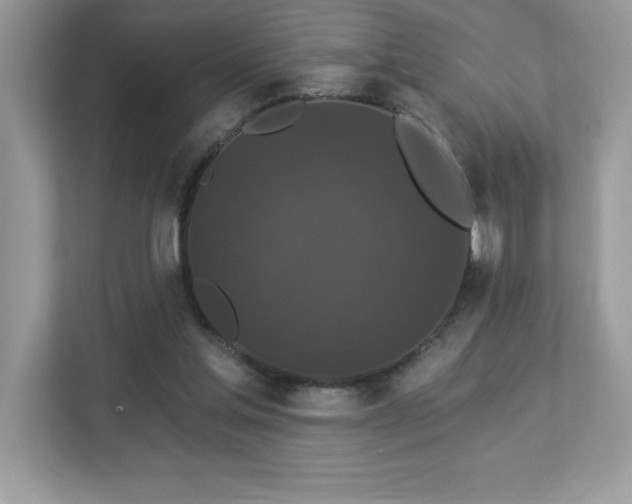 X0000112860205200908211327