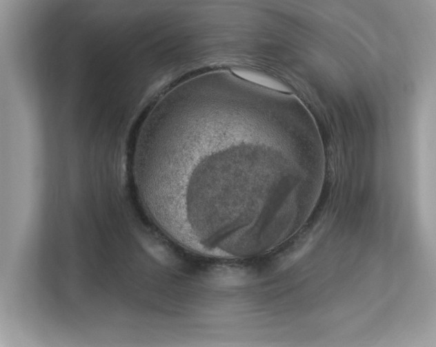 X0000112860207200908211327