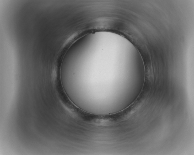 X0000112860208200908211327