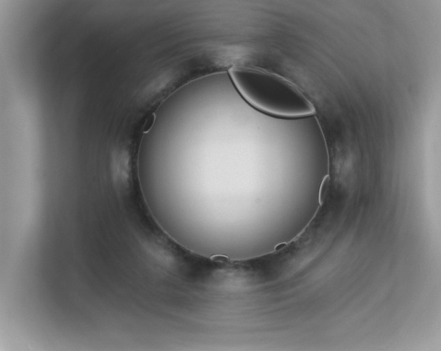 X0000112860211200908211327