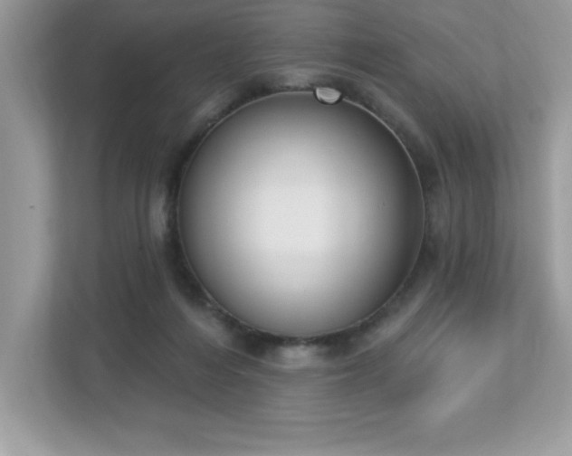 X0000112860216200908211327