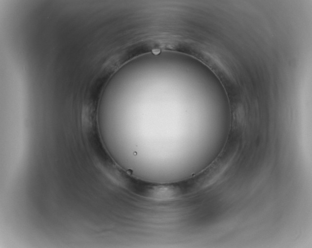 X0000112860218200908211327