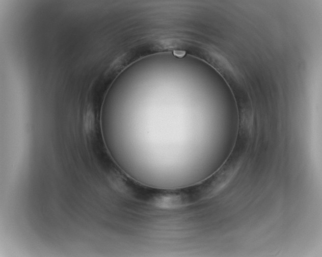 X0000112860220200908211327