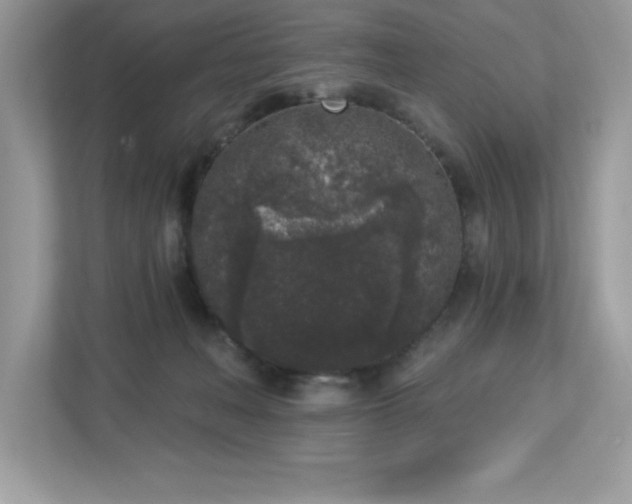 X0000112860222200908211327