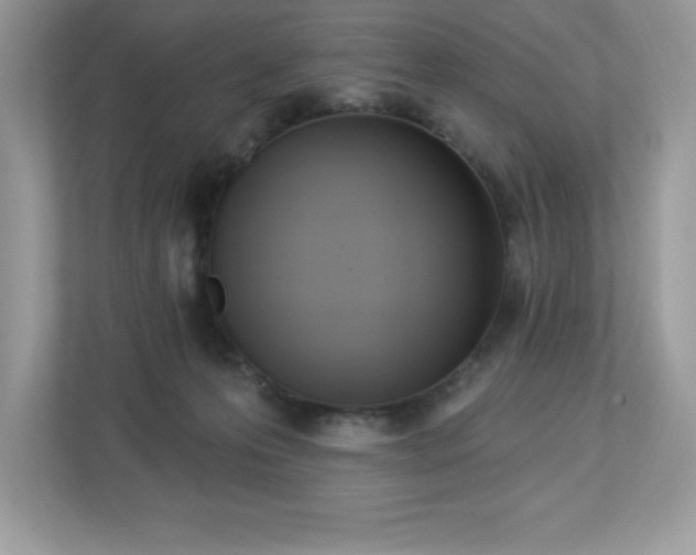 X0000112860223200908211327