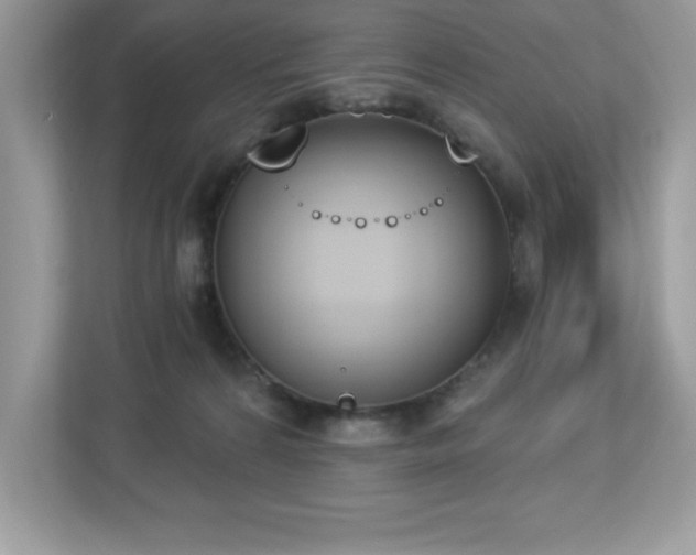 X0000112860224200908211327