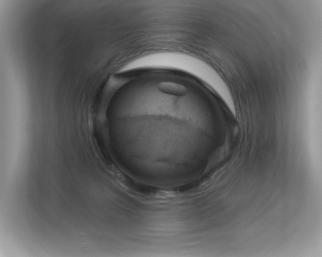 X0000112860227200908211327