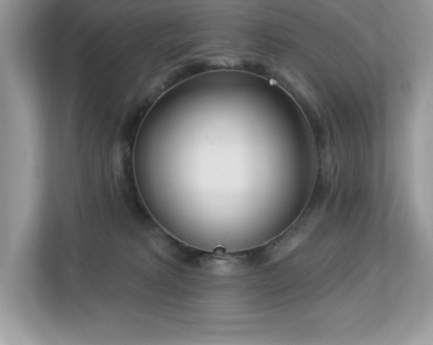 X0000112860229200908211327