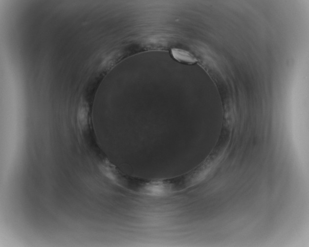 X0000112860231200908211327