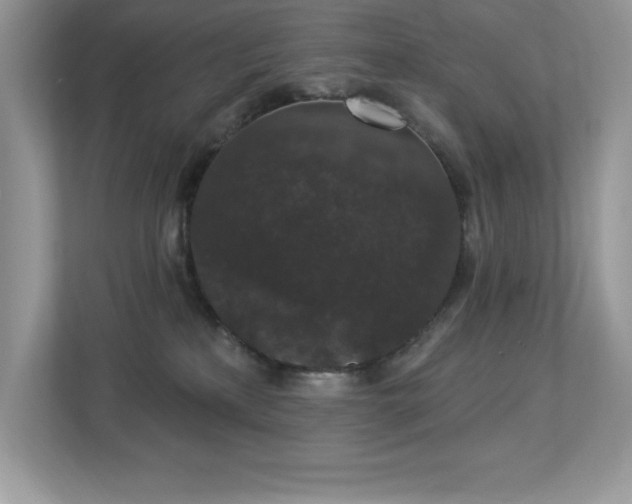 X0000112860233200908211327