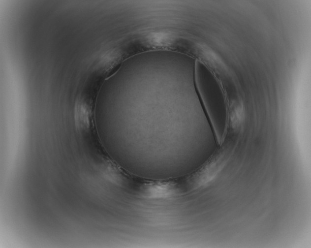 X0000112860235200908211327