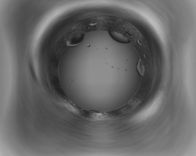 X0000112860239200908211327