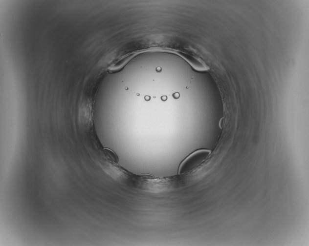 X0000112860240200908211327