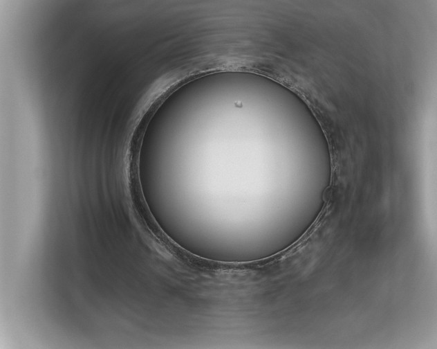 X0000112860242200908211326