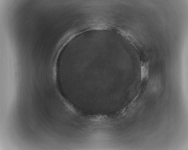 X0000112860243200908211326