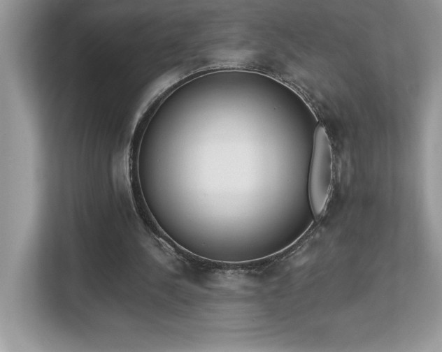X0000112860244200908211326