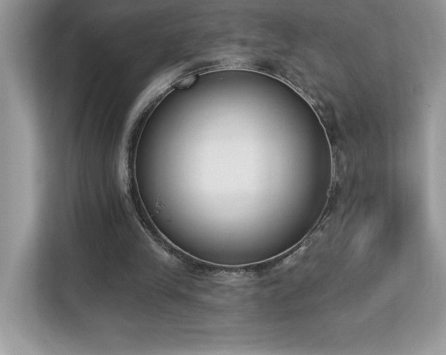 X0000112860245200908211326