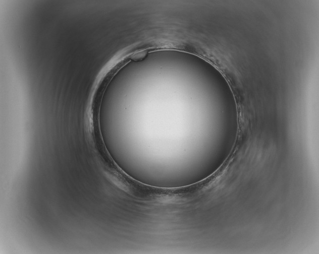 X0000112860246200908211326