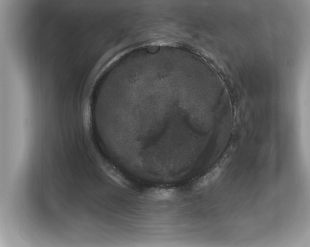 X0000112860247200908211326